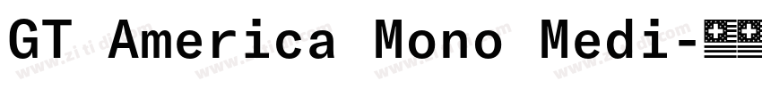 GT America Mono Medi字体转换